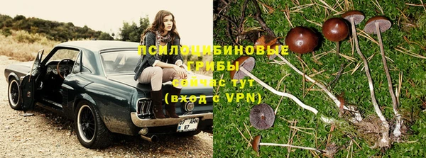 сатива Богородицк