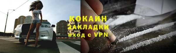 сатива Богородицк