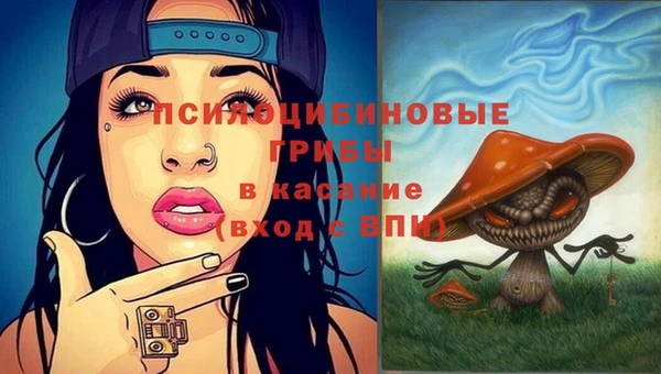сатива Богородицк