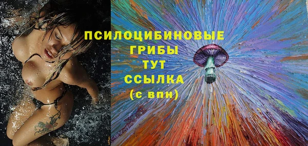 первитин Богородск