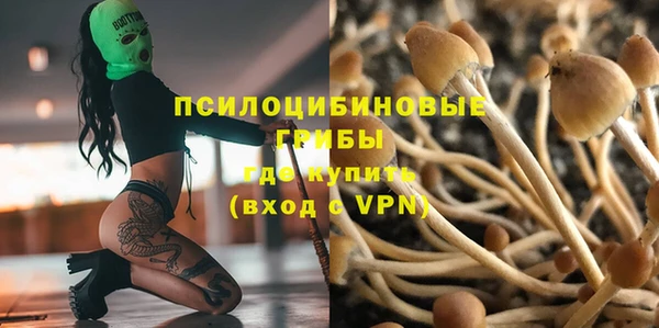 первитин Богородск